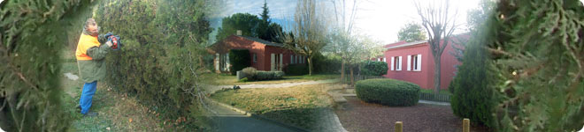 taille de haies